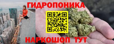 дживик Кунгур