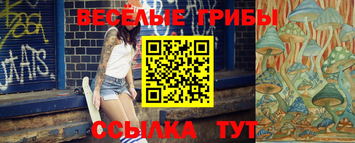 Галлюциногенные грибы Psilocybe Калач-на-Дону