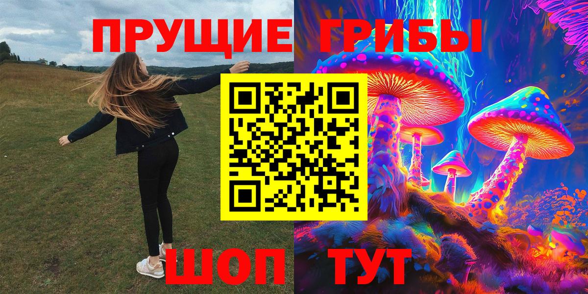дарнет шоп  Вход с VPN  Калач-на-Дону  Галлюциногенные грибы Psilocybe 